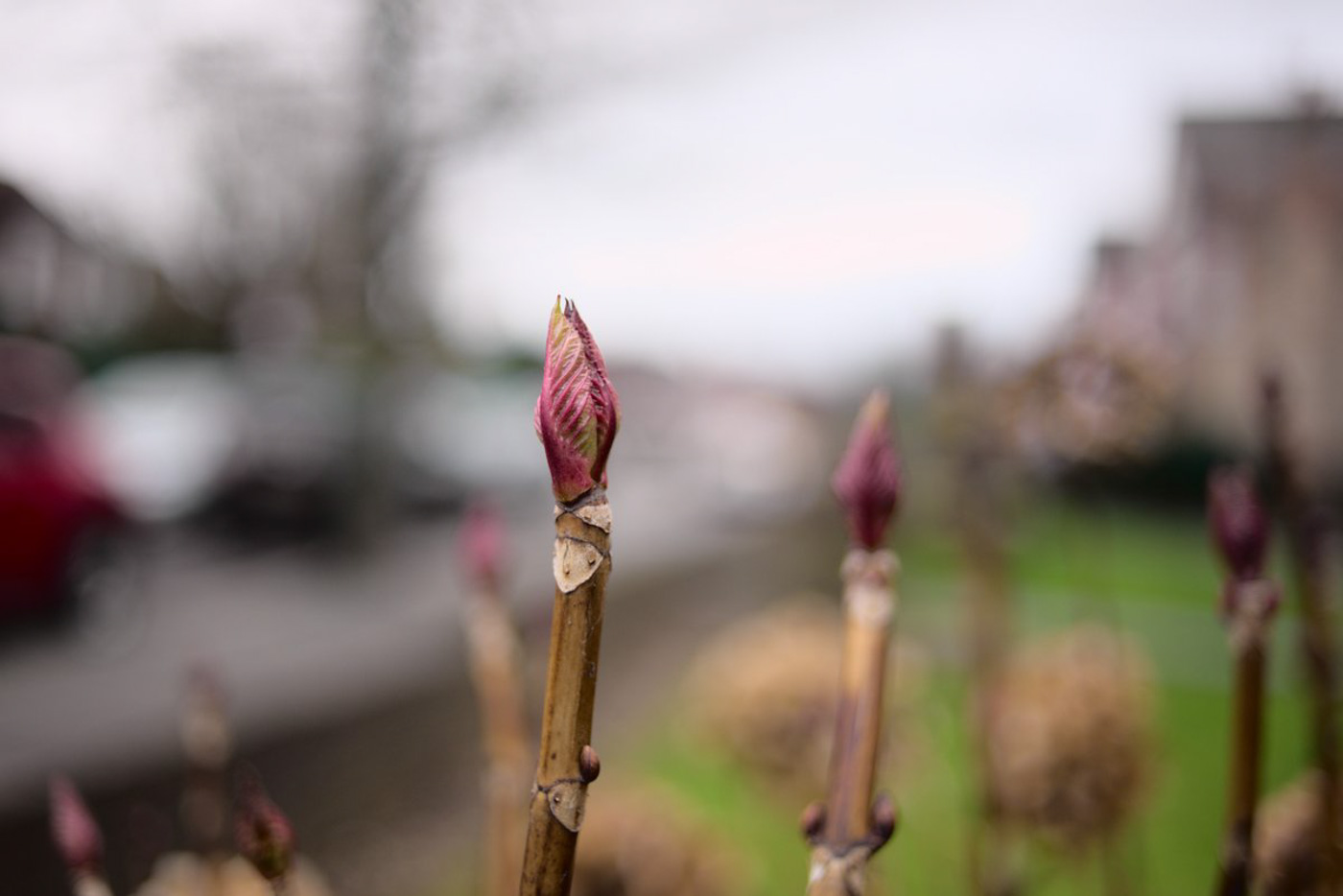 2024-01-north-finchley