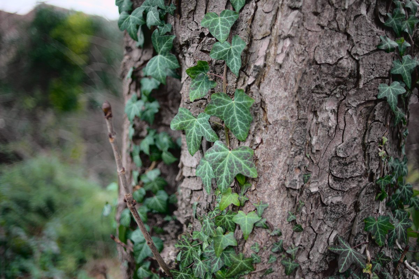 2024-01-north-finchley