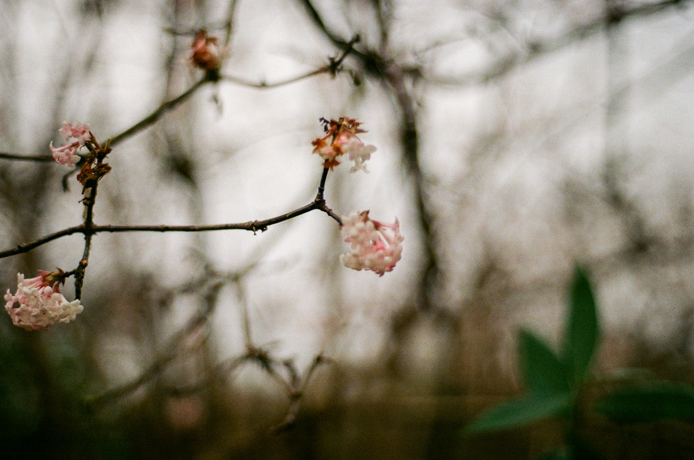 2024-04-around-london