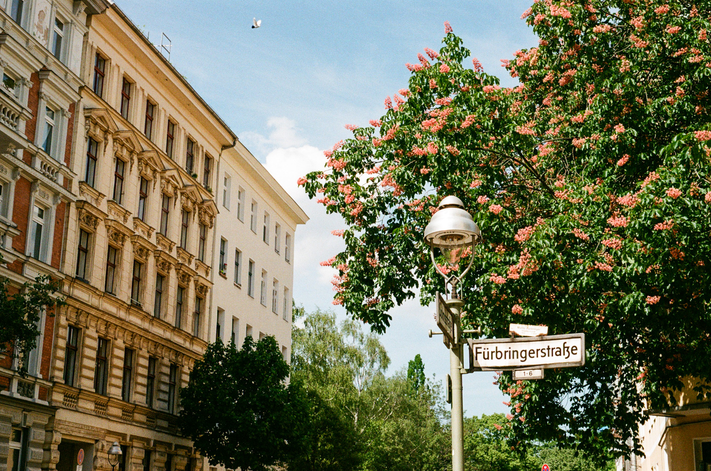 2024-05-berlin-cologne